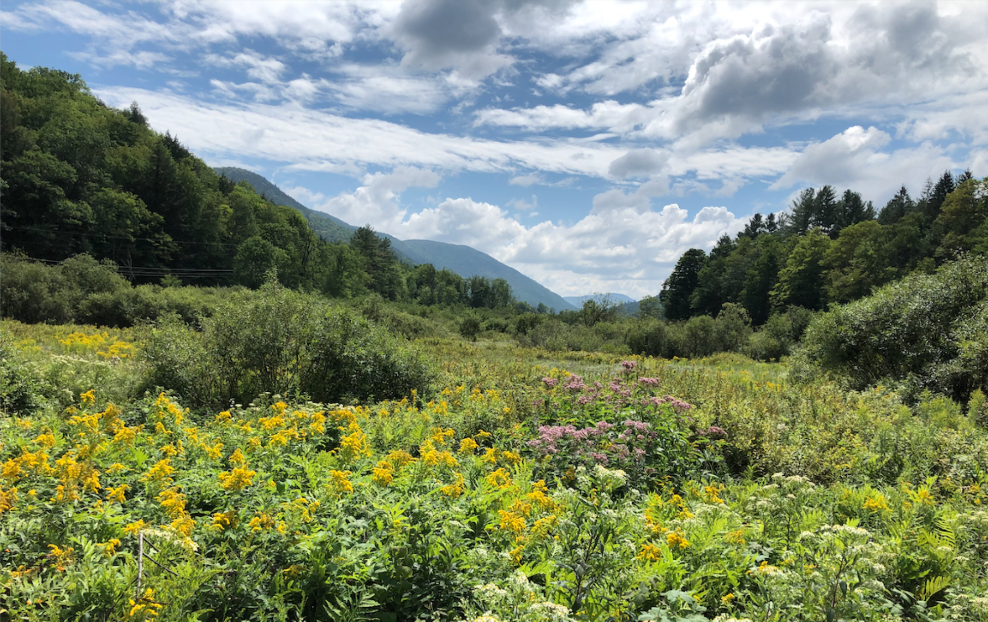 https://www.ponderapublishing.com/wp-content/uploads/2022/02/cropped-PP-Cover-photo-heron-land-in-VT.png